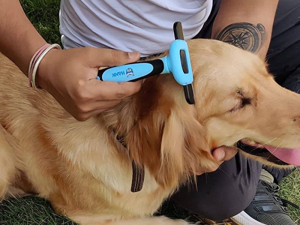 Deshedding brush