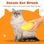 Steam Cat Brush