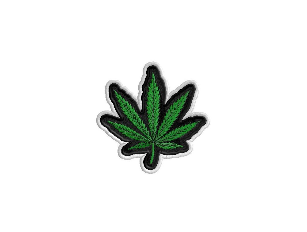 Embrace the Green in Your Style