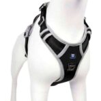 HANK-No-Pull-3M-Reflective-Dog-Harness-Black