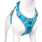 HANK No Pull 3M Reflective Dog Harness Sky Blue