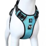 3M Reflective No Pull Dog Harness - Cyan Blue | HANK Premium Harness