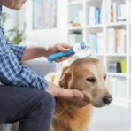Cleaning Dog with pet Brushe