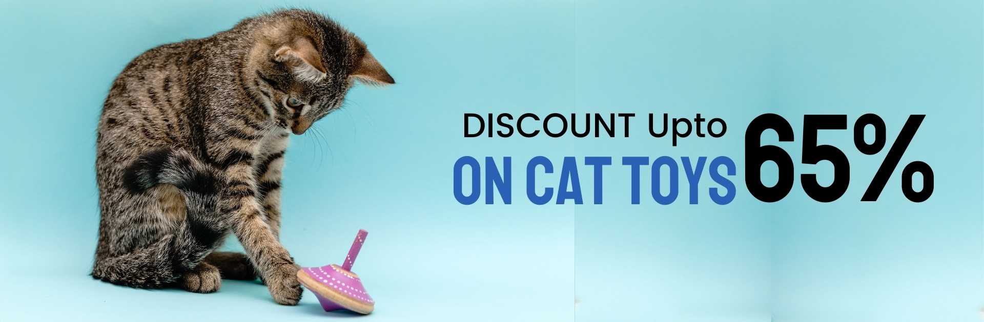 Cat Toys